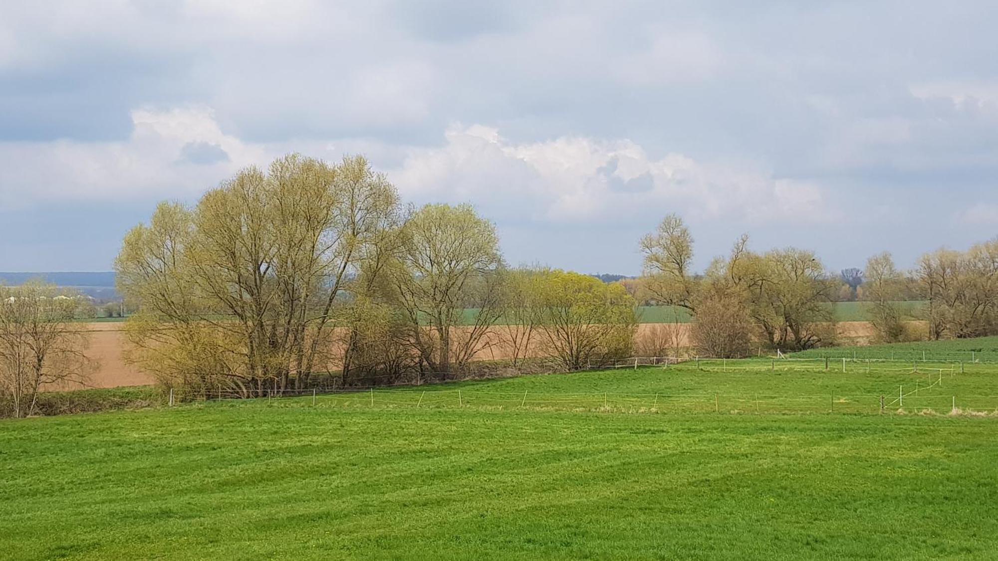 Leineufer Appartement Friedland (Lower Saxony)